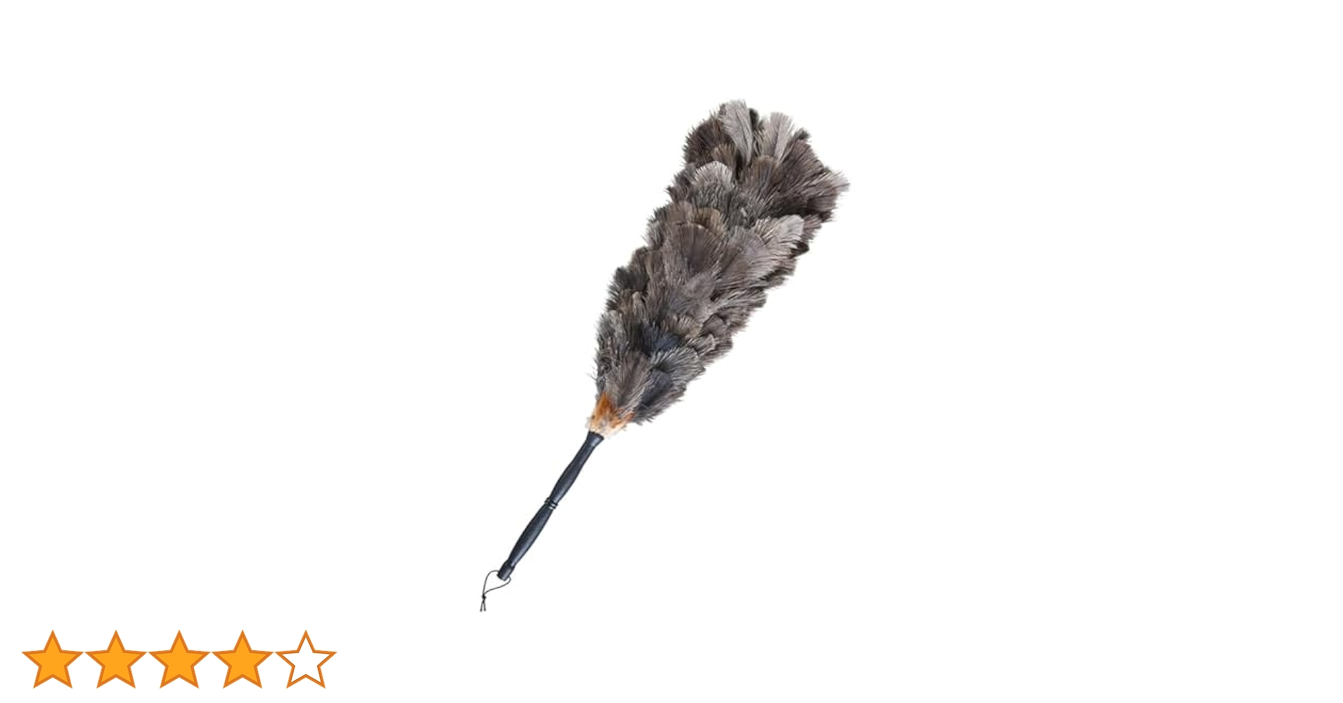 31NpAKfgBBL.jpg_BO30,255,255,